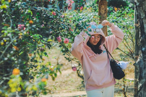 Découvrez l'héritage fascinant du psg dans le football